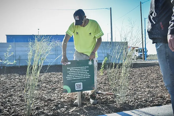 unnamed - 2023-06-05T121801.142